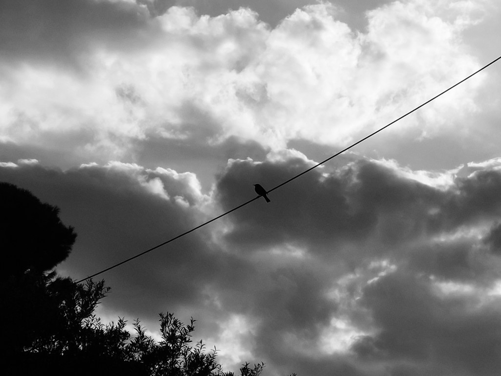 Used to be a&nbsp;kid